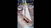 Endeavour Wooden Sailing Boat Model Stunning Handcrafted Ship You Must See