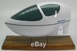 Waterbug Pedal Powered Boat Wood Model Free Shipping NEW