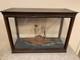 Mod&egrave;le R&eacute;duit De Bateau &agrave; Roues &agrave; Aubes Am&eacute;ricain Antique Sous Vitrine Diorama Maritime